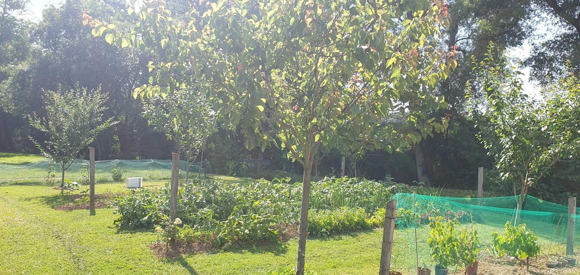 Hotel Le Moulin De Laumet Vic-Fezensac Zewnętrze zdjęcie