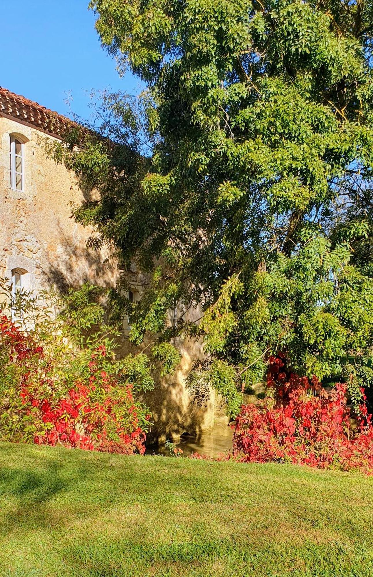 Hotel Le Moulin De Laumet Vic-Fezensac Zewnętrze zdjęcie